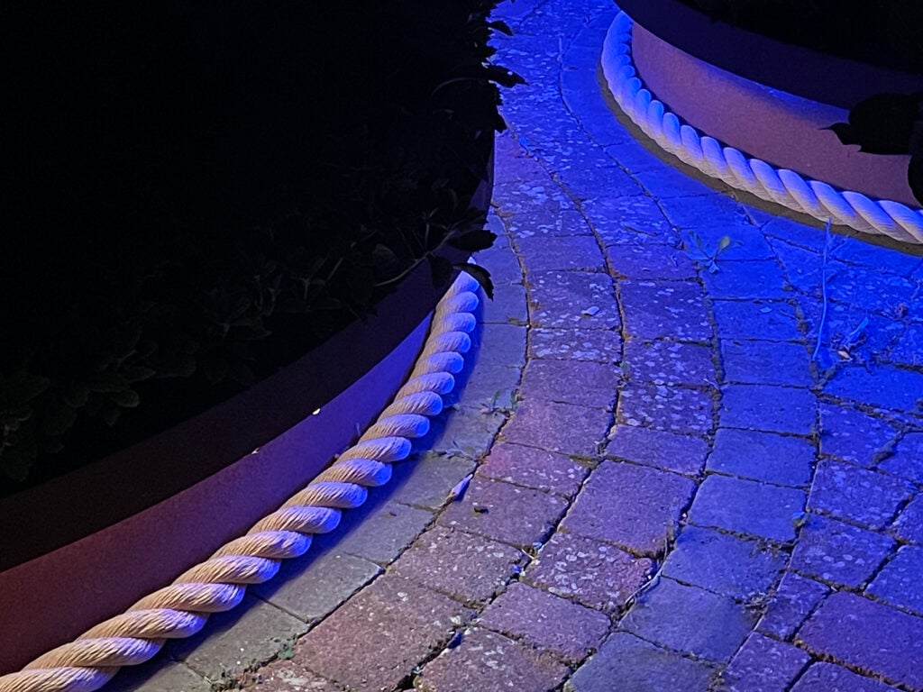 Image #1 from Matthew