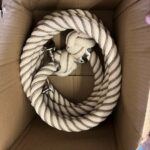 24mm Natural Cotton Wormed Bannister Rope x 11.5 Foot 4 Satin Brackets (CS)